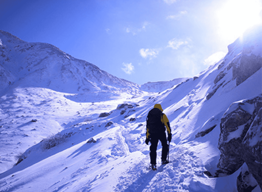 Reach the Summit of Mount Everest…on a NuStep Cross Trainer