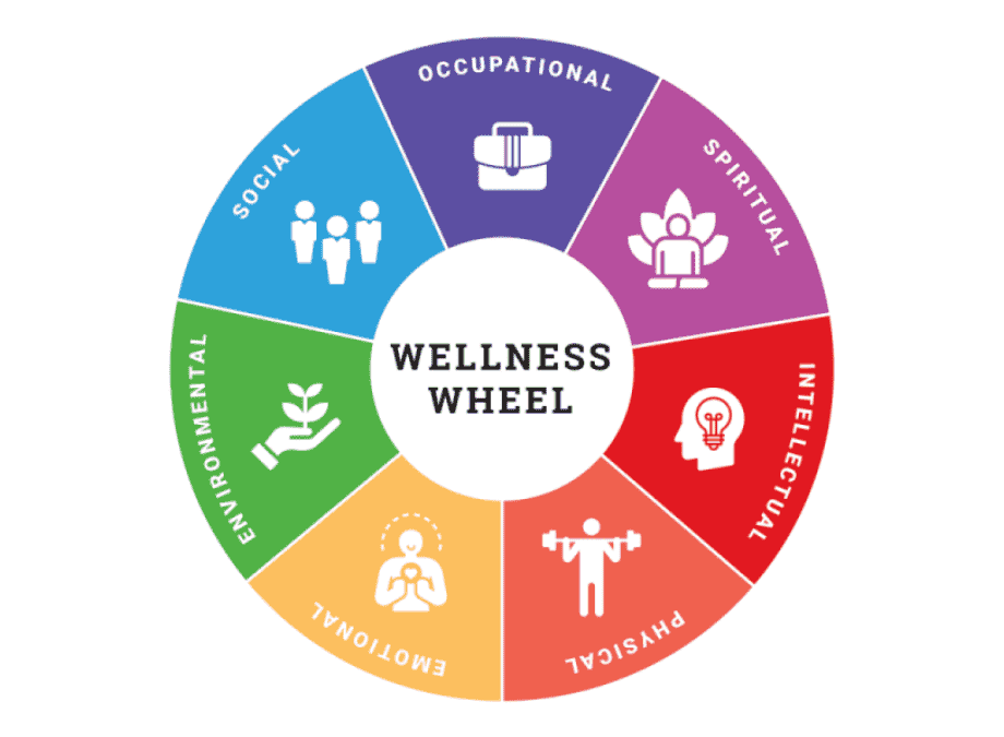 What is Whole-Person Wellness and Why Is It Important?